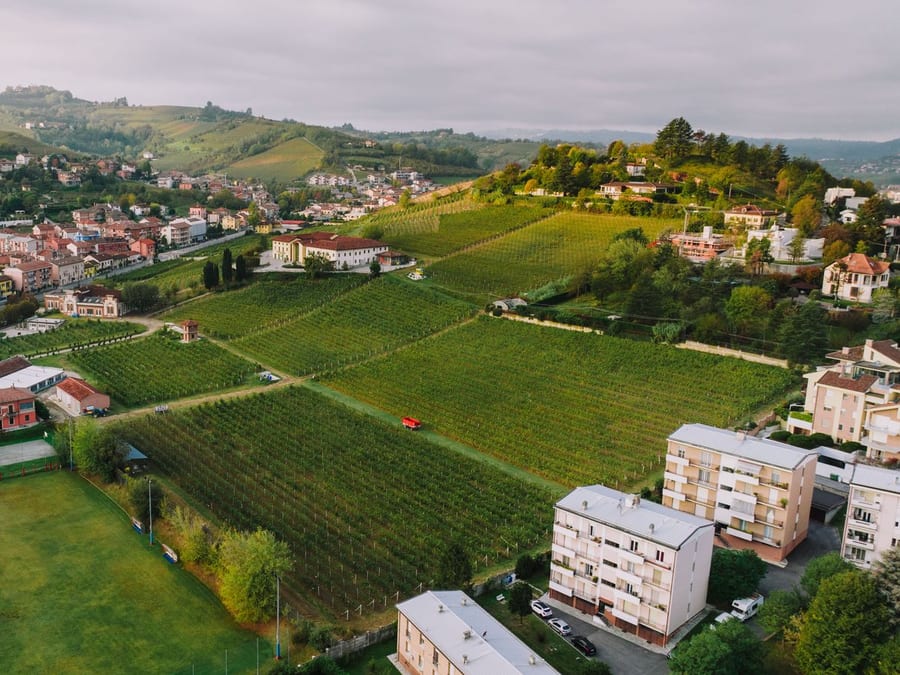 I filari — Nebbiolo, barbera, dolcetto, a perdita d'occhio