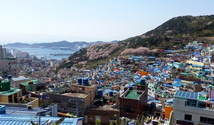 Villaggio culturale di Gamcheon — Case colorate nate per accogliere i profughi di guerra