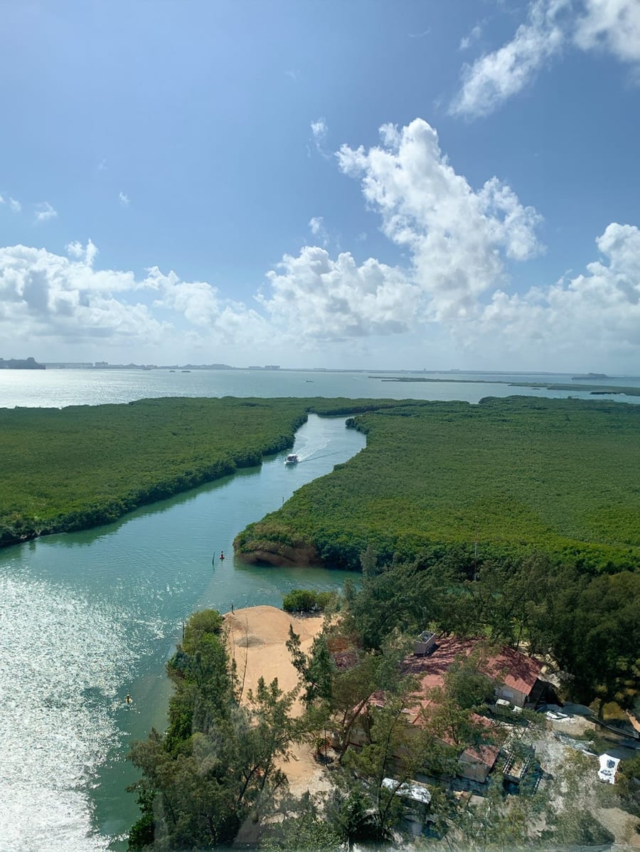 La laguna di Nichupté — Acque calme tra le mangrovie alle spalle della Zona Hotelera