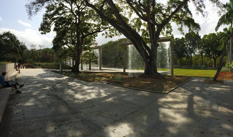 Il Parque del Este — Il polmone verde disegnato da Burle Marx