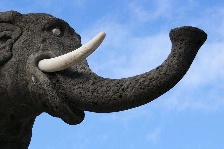 U Liotru — L'elefante di lava nera, simbolo della città