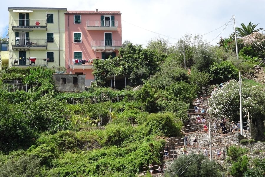 La Scalinata Lardarina — Quasi quattrocento gradini tra gli oleandri in fiore
