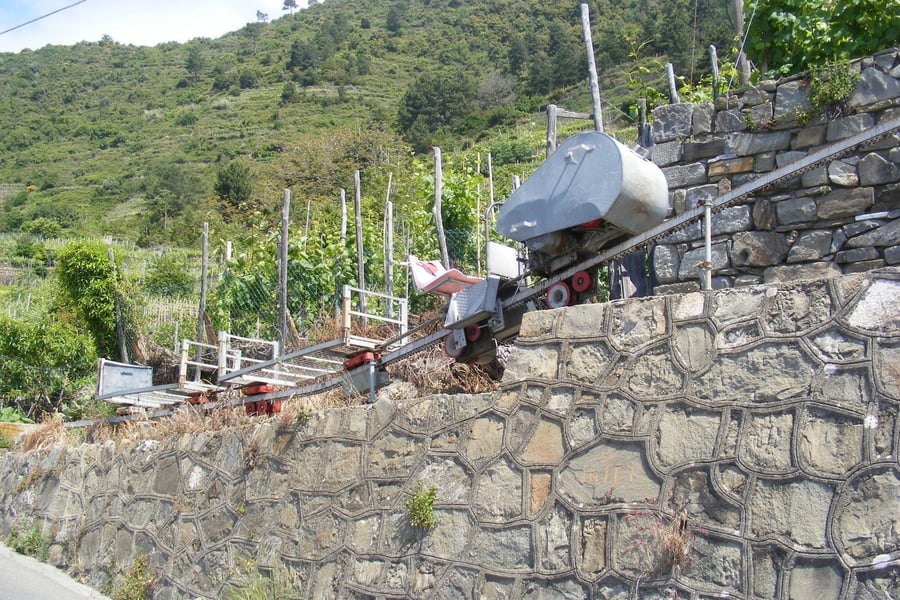 La monorotaia dei vigneti — Il trenino che porta su e giù dai terrazzamenti ripidissimi