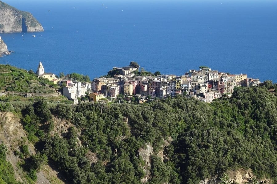 Veduta dall'alto — Il borgo, i vigneti e la costa verso Manarola in lontananza
