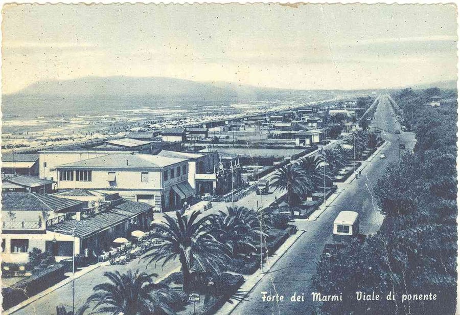 Viale di Ponente, anni Cinquanta — Palme e ville liberty sul viale che corre verso il mare