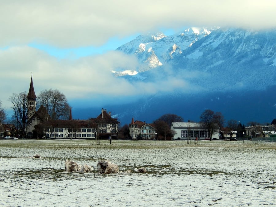 Un villaggio nella nebbia invernale — Il campanile che spunta dalla foschia, montagne innevate alle spalle