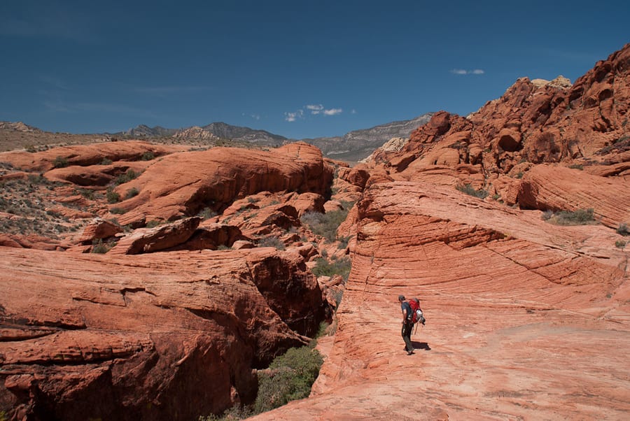 Red Rock Canyon — Pareti di arenaria rossa a pochi chilometri dai casinò