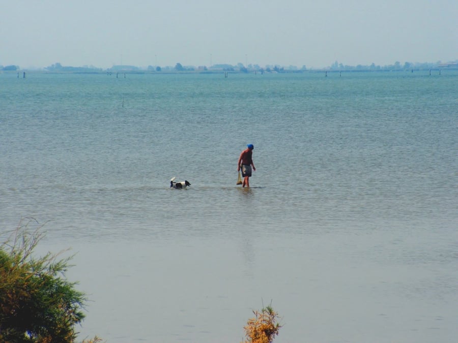 La laguna di Marano — Le acque calme che separano la città dalla terraferma