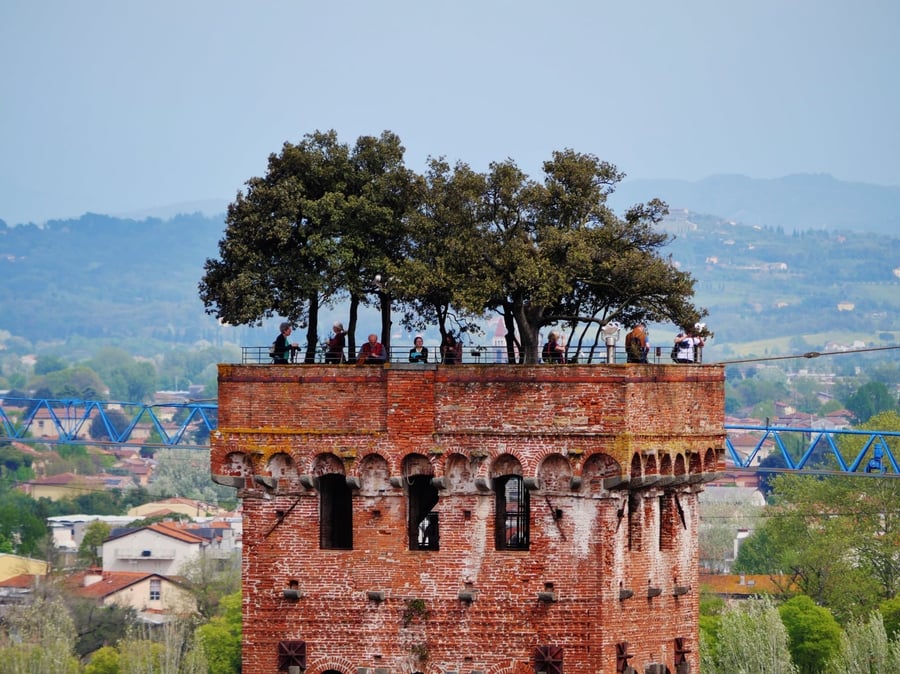 Torre Guinigi — La torre con gli alberi sulla cima