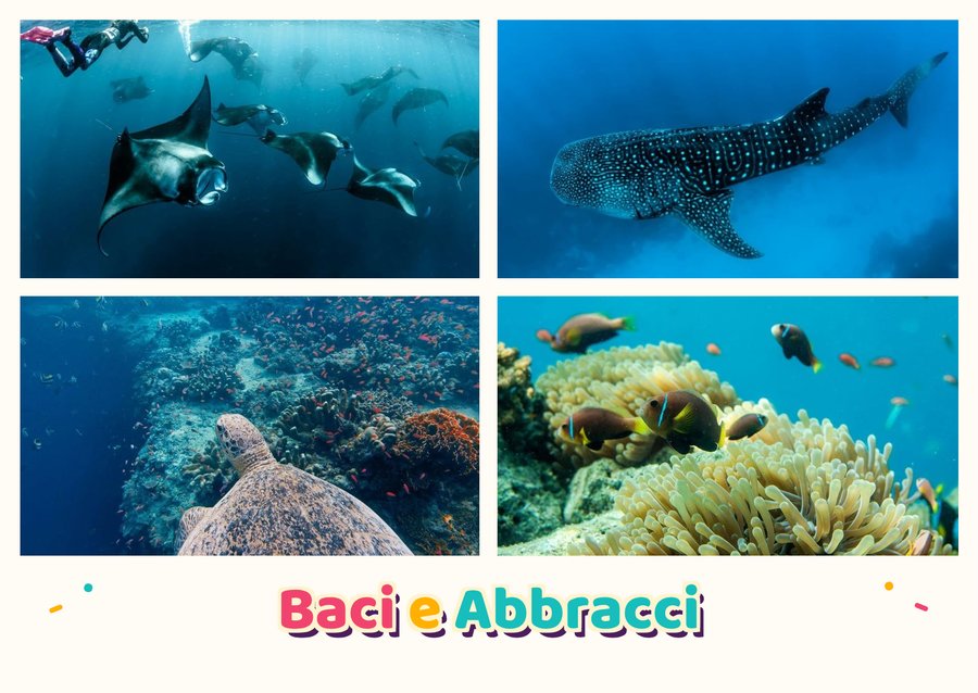 Baci e Abbracci dalle Maldive — Mante nella corrente, Lo squalo balena, Una tartaruga marina e La barriera corallina