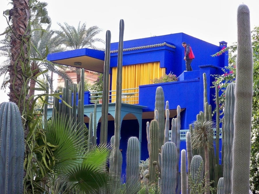 Jardin Majorelle — An electric blue patented by a painter, among bamboo and cacti