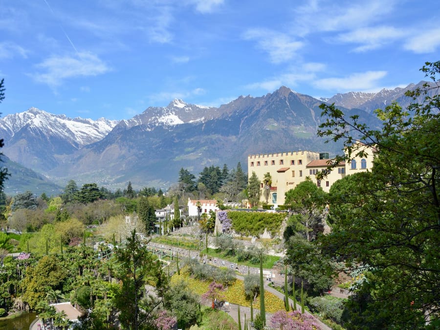 I giardini di Trauttmansdorff — Palme e agavi, con i ghiacciai sullo sfondo