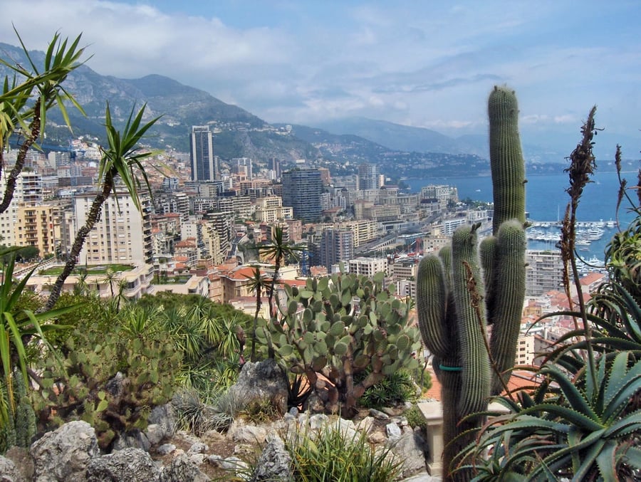Il Giardino Esotico — Cactus e piante grasse sospesi su una rupe a picco sul mare