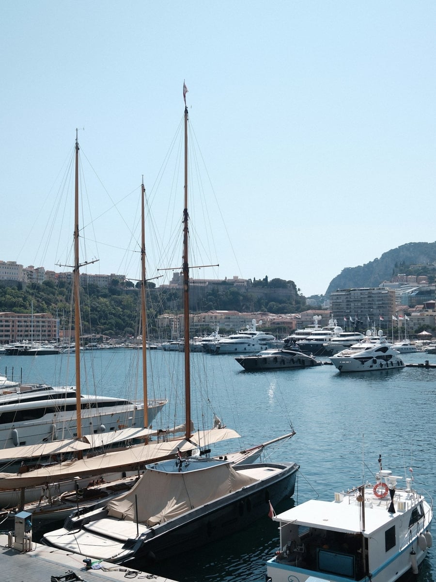 Il Port Hercule — Un porto naturale affollato di yacht sotto Le Rocher