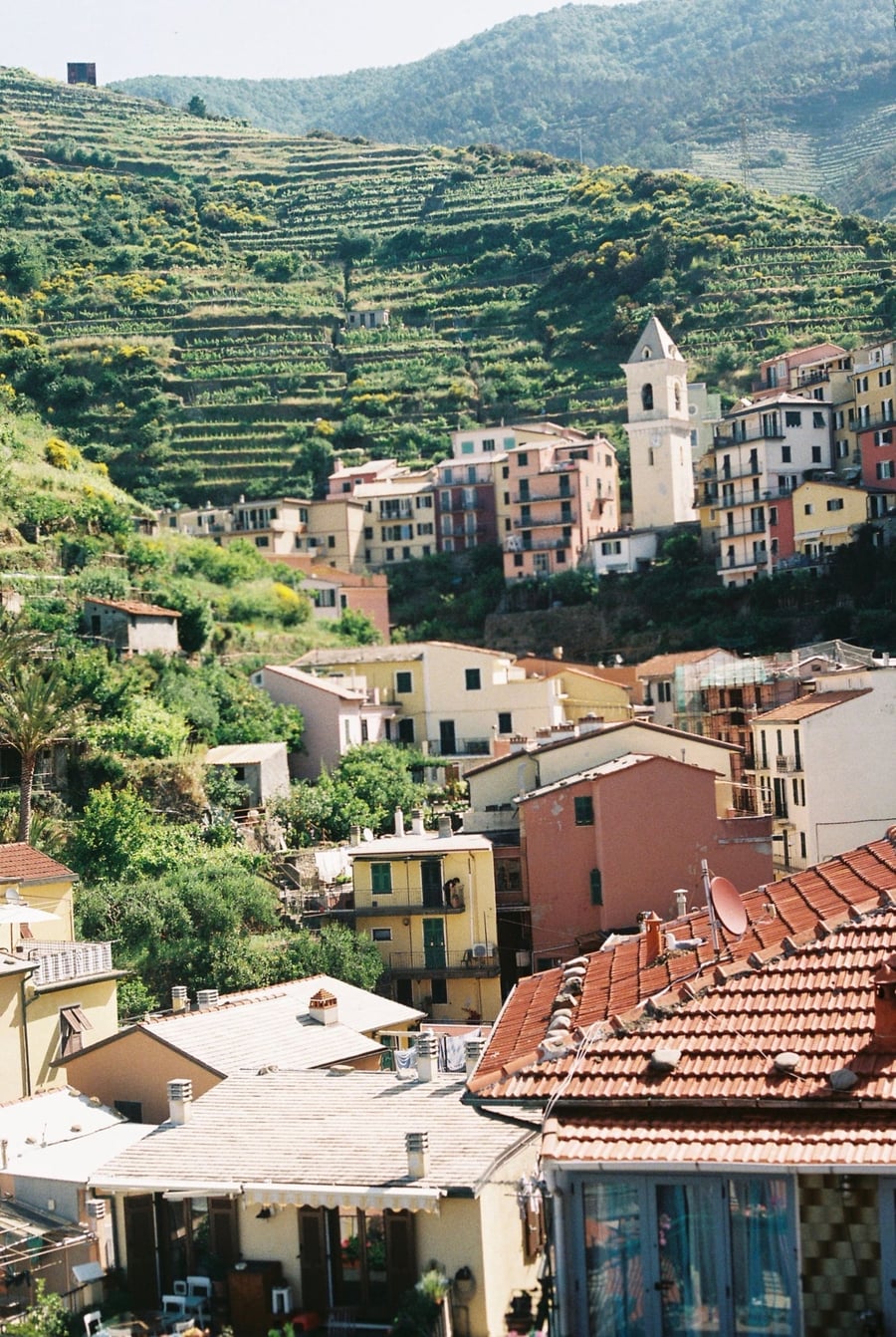 The terraces of the Cinque Terre — The suspended vineyards that produce Sciacchetrà