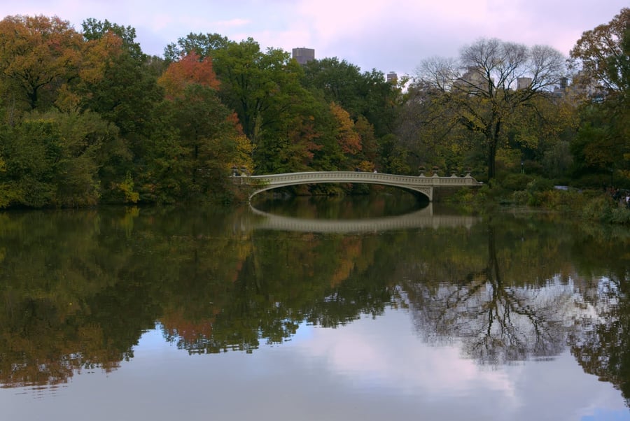 Central Park, Bow Bridge — Il ponte di ghisa più fotografato del parco più famoso al mondo