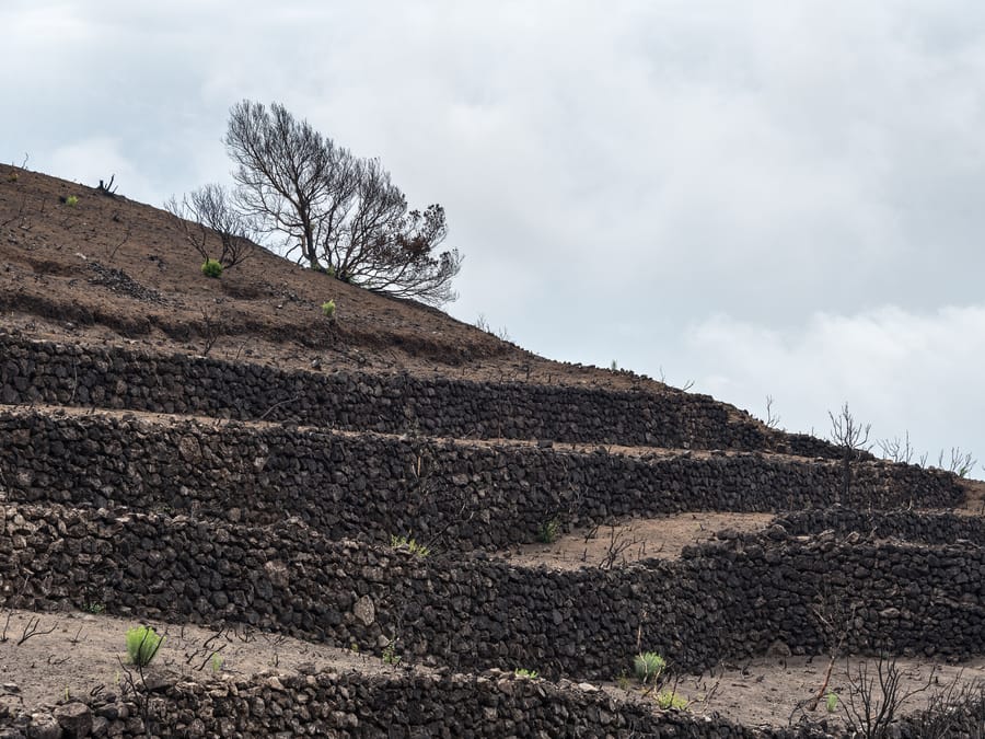I terrazzamenti — Muretti a secco sul fianco del vulcano