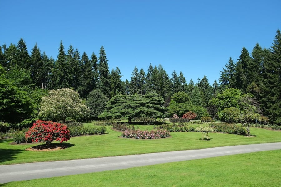 Queenstown Gardens — The green peninsula among roses, redwoods and disc golf courses