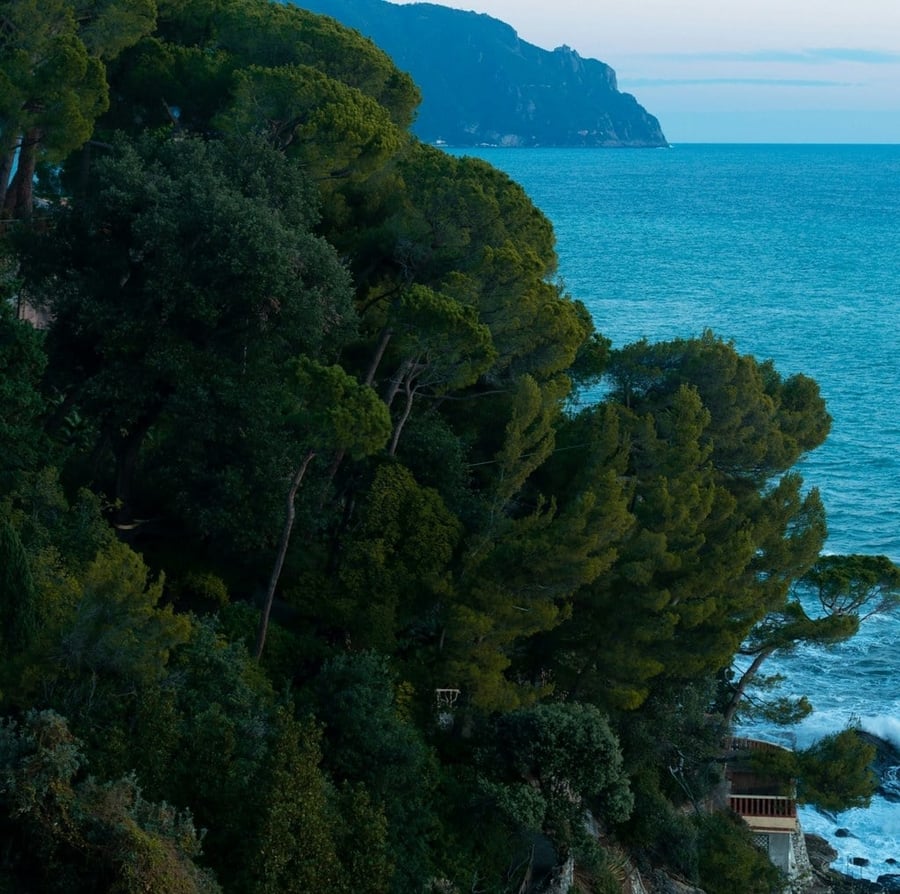 I pini sul Golfo Paradiso — La costa rocciosa che protegge Recco e Camogli