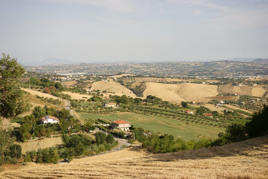 La campagna sotto Montepagano — Gli uliveti e i campi che scendono dalla collina verso la costa