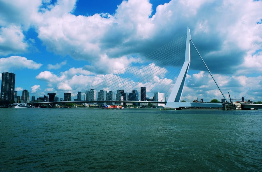 Erasmusbrug — Il ponte a cigno che collega le due sponde della Mosa