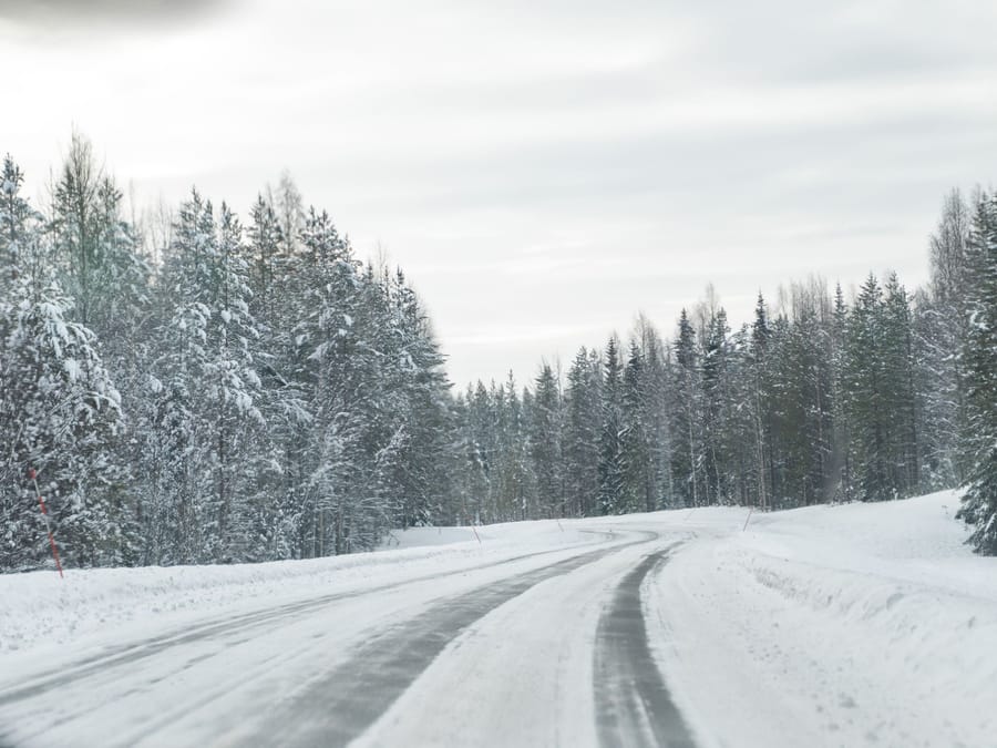 La strada nella neve — Chilometri di foresta e nient'altro