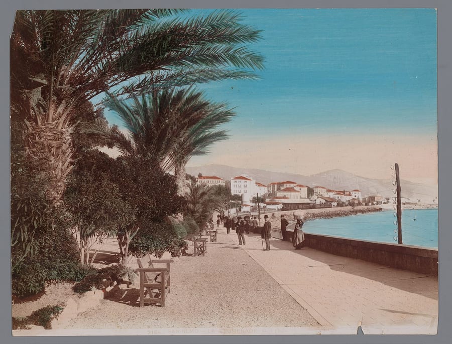 Le palme di Sanremo — Il viale alberato voluto dalla zarina