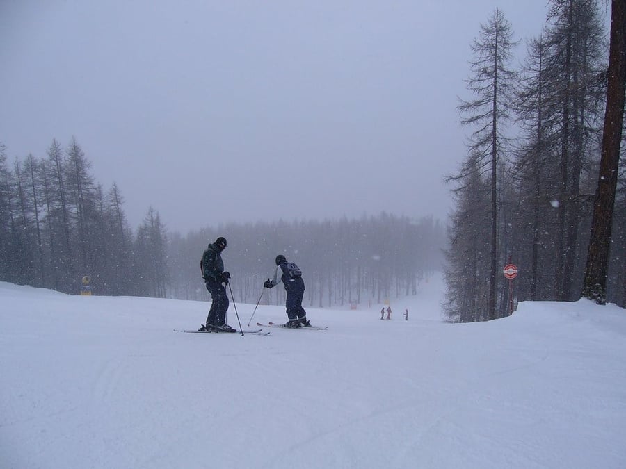 On the slopes among the firs — Snowfall among the larches of the ski area