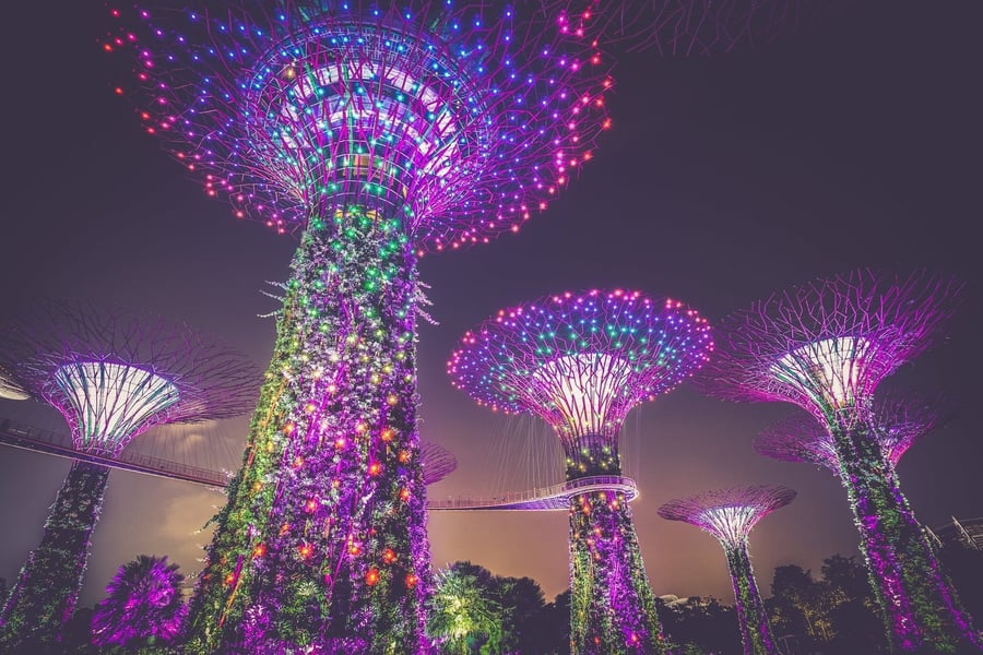 Gardens by the Bay — Alberi d'acciaio alti come palazzi di quindici piani