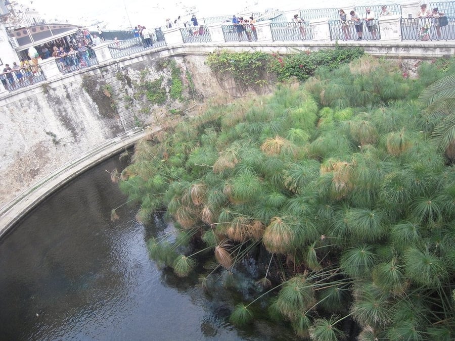 Fonte Aretusa — Una sorgente d'acqua dolce legata al mito della ninfa Aretusa