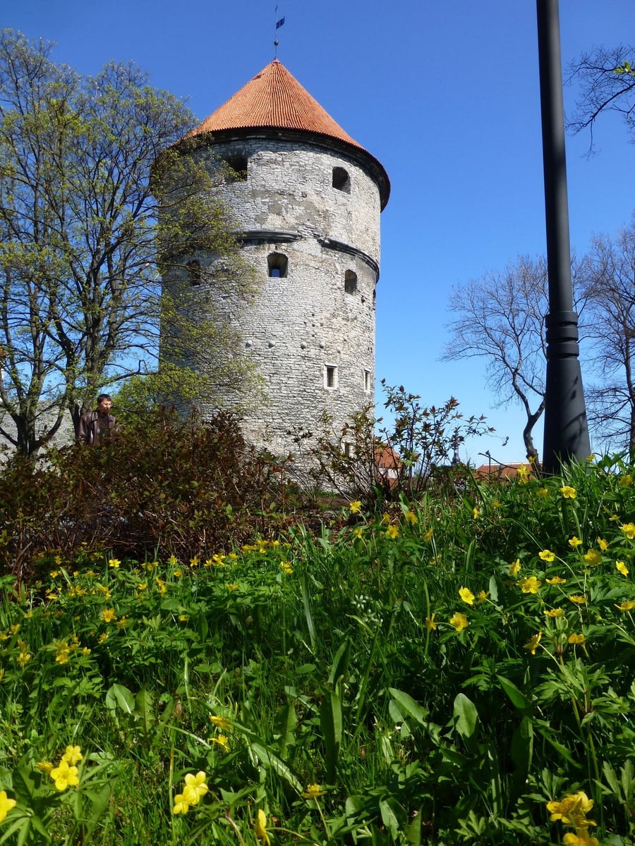 Old Town Walls — The medieval towers that still ring the historic centre