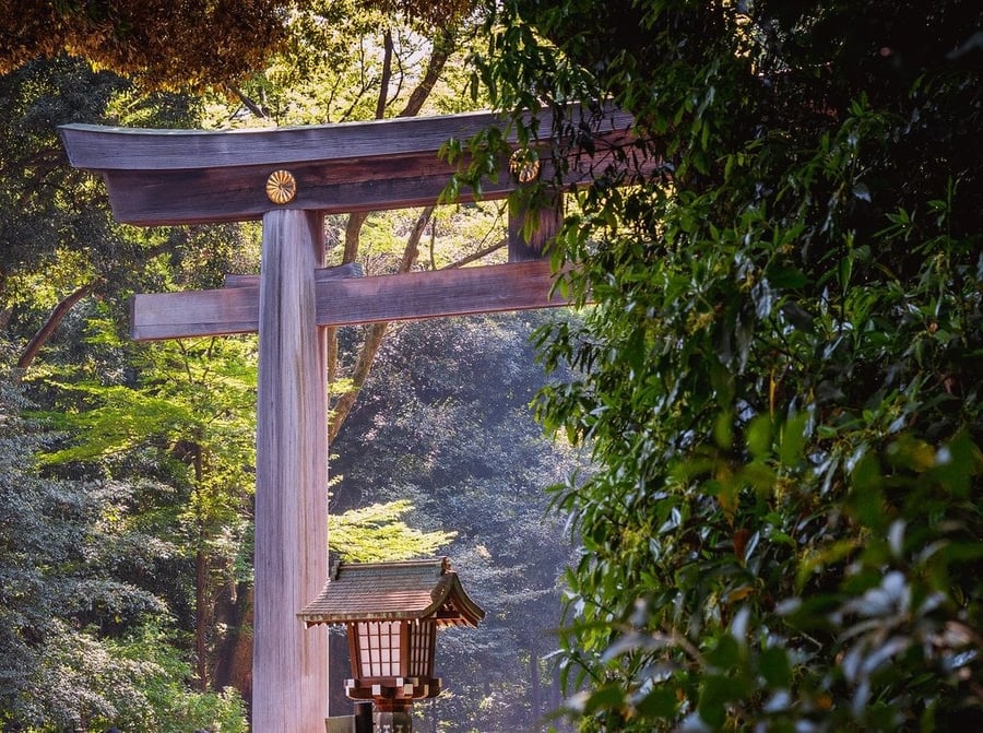 Santuario Meiji — Un bosco silenzioso nel cuore della metropoli