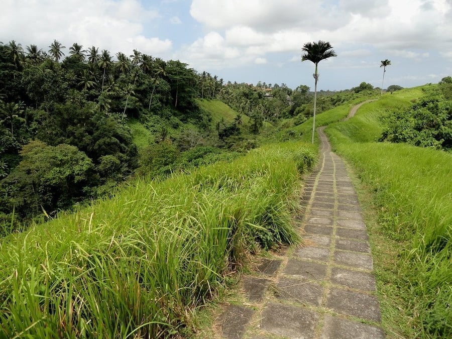 Campuhan Ridge Walk — Una cresta erbosa tra due valli sacre