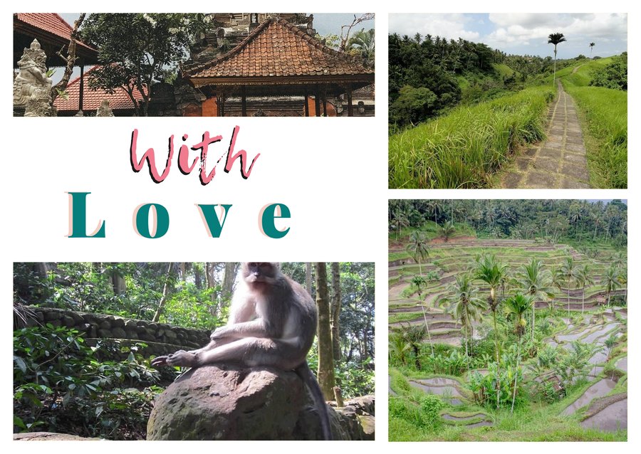 With Love da Ubud — Puri Saren Agung, Campuhan Ridge Walk, Risaie di Tegallalang e Sacred Monkey Forest Sanctuary