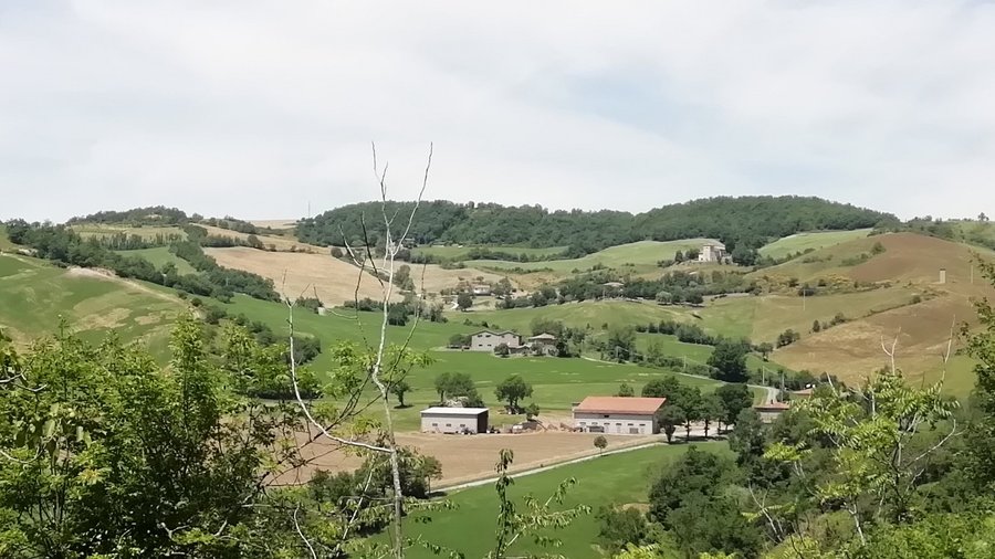 Le colline di Savigno — Il paese del tartufo bianco, il più alto e meridionale di Valsamoggia