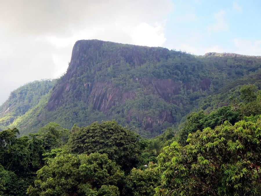 Il Parco Nazionale del Morne Seychellois — La foresta pluviale che ricopre le montagne sopra Victoria