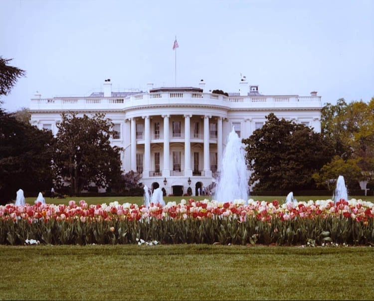 La Casa Bianca — Il prato sud della residenza dei presidenti americani