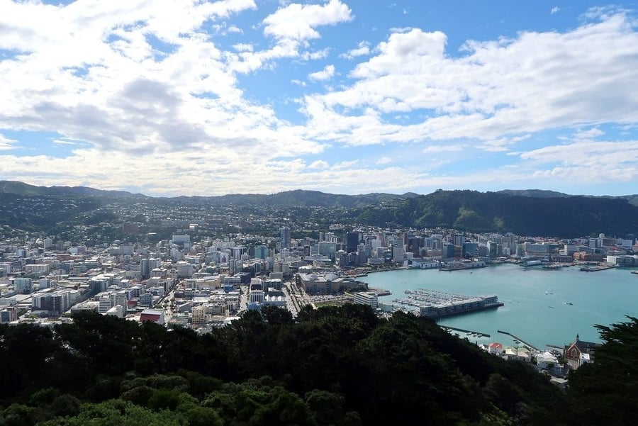 Mount Victoria Lookout — A 360-degree view of the city, harbour and Cook Strait