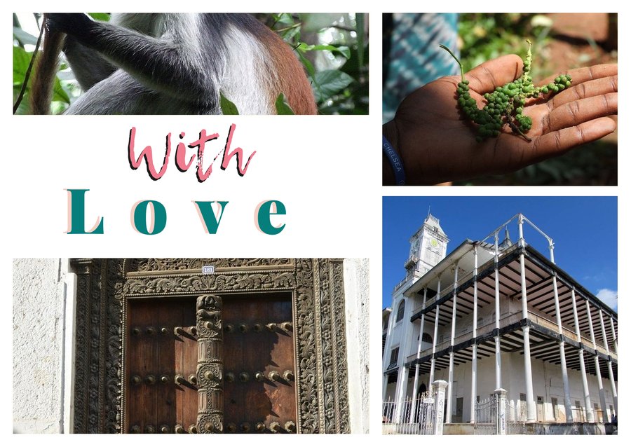 With Love from Zanzibar — Jozani red colobus, Spice farm, House of Wonders and Carved door of Stone Town